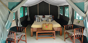 The Camp